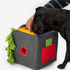 Sniffbox - Explore hiding places in varying positions