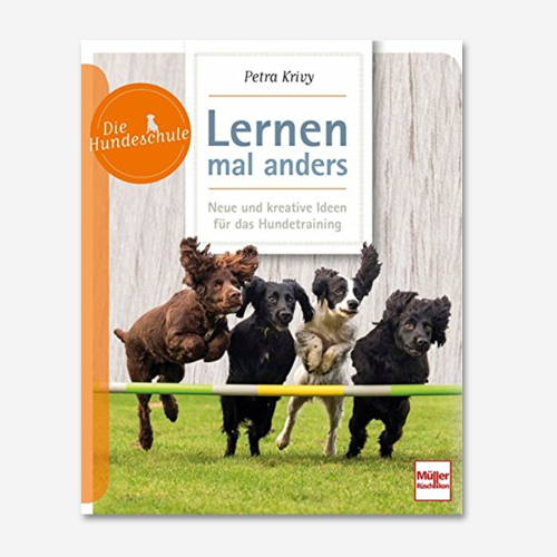 recommends: Lernen mal anders